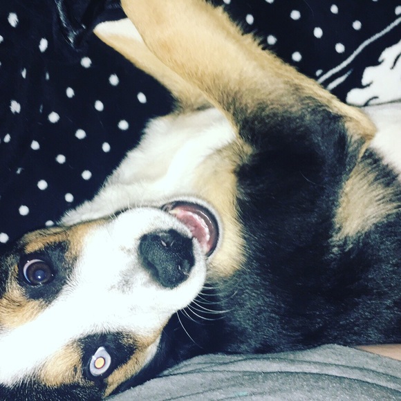 Meet your Posher, Jen - Picture 8 of 8